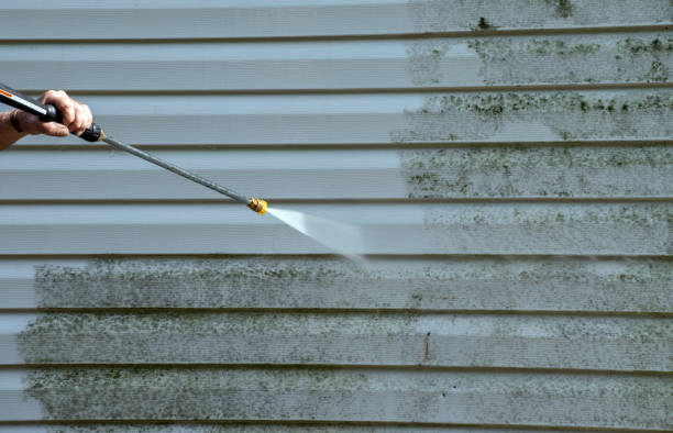 Best Gutter Cleaning and Brightening in Moline, IL