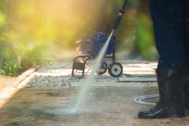 Best Driveway Cleaning and Restoration in Moline, IL
